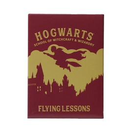 HARRY POTTER - Flying Lessons - Magnet |  Techbox